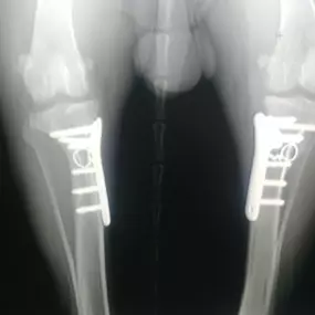 Bild von Clínica Veterinaria Don Can