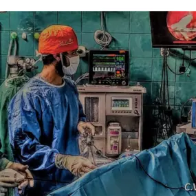 Bild von Clínica Veterinaria Don Can