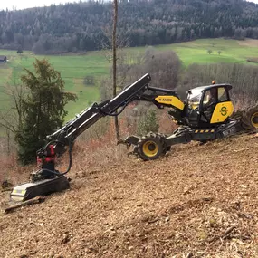 Bild von Gebrüder Straumann AG