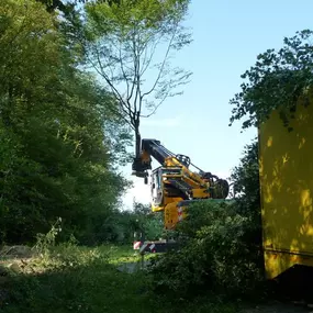Bild von Gebrüder Straumann AG
