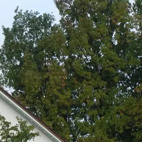 Bild von Praxis Huluk Gattikon