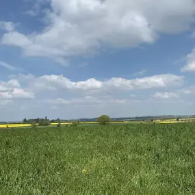 Bild von At Woodgreen Farm CS  Gloucester