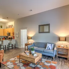 Living Room and Kitchen