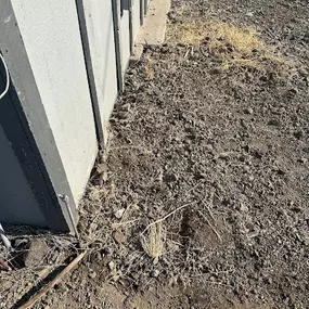 Bild von All Natural Pest Elimination