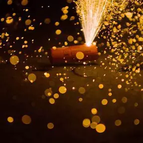 Bild von Fireworks Nation