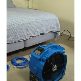 Heat treatment is a highly effective method for eliminating bedbugs. By raising the temperature in a sealed environment to lethal levels, this process can destroy bedbugs and their eggs without the use of chemicals.