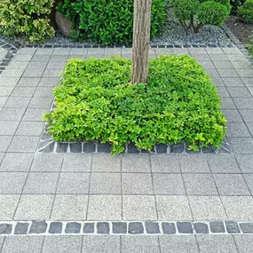 Bild von Steinfresh® Stroschein