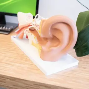 Bild von Die Hör-Insel GmbH