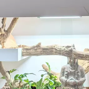 Bild von buddys.snakes Terrarien by Sebastian Hoffmann