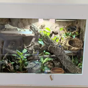 Bild von buddys.snakes Terrarien by Sebastian Hoffmann