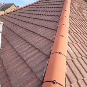 Bild von Roof Revive