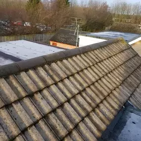Bild von Roof Revive