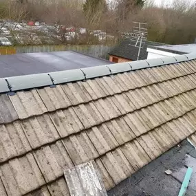 Bild von Roof Revive