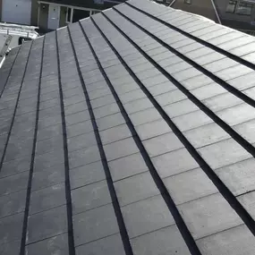Bild von Roof Revive