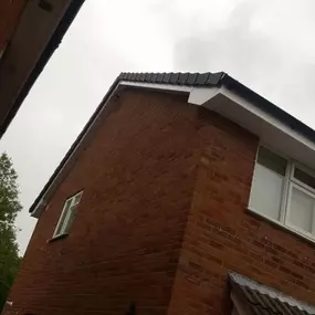 Bild von Roof Revive