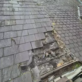 Bild von Roof Revive