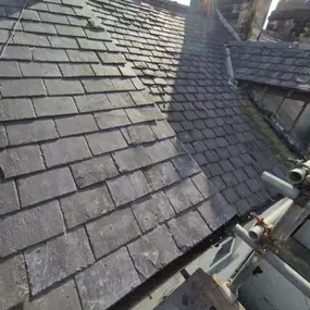 Bild von Roof Revive
