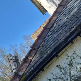 Bild von Roof Revive