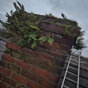 Bild von Roof Revive
