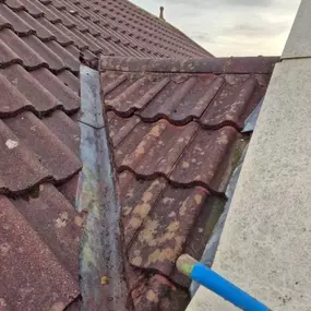Bild von Roof Revive
