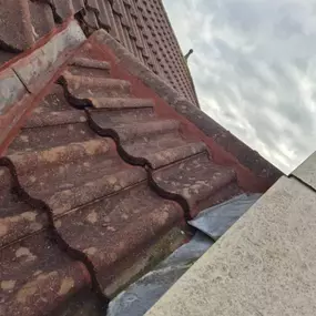 Bild von Roof Revive