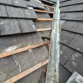 Bild von Roof Revive