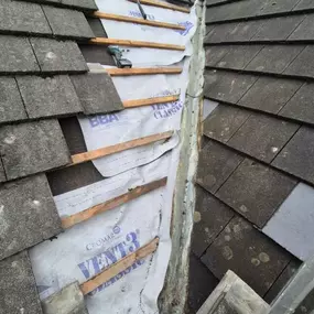 Bild von Roof Revive