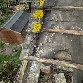 Bild von Roof Revive