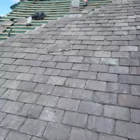 Bild von Roof Revive