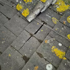 Bild von Roof Revive