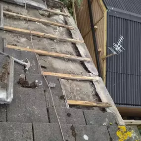 Bild von Roof Revive