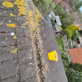 Bild von Roof Revive