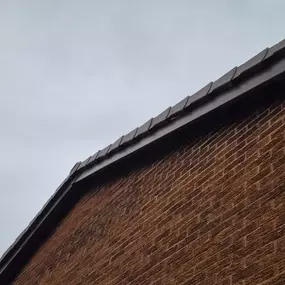 Bild von Roof Revive