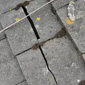 Bild von Roof Revive
