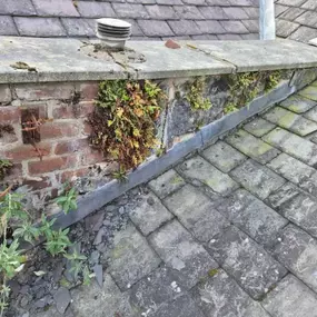 Bild von Roof Revive