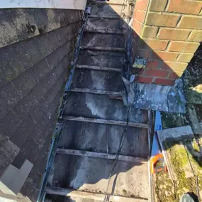 Bild von Roof Revive
