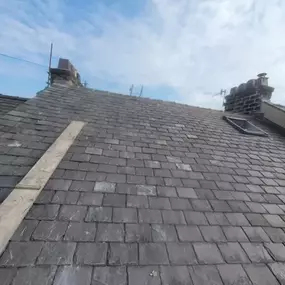 Bild von Roof Revive