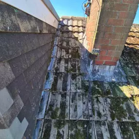 Bild von Roof Revive