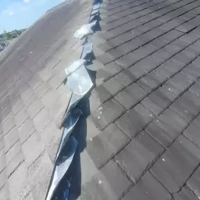 Bild von Roof Revive