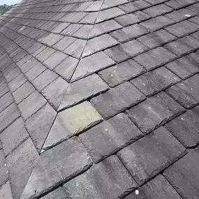 Bild von Roof Revive