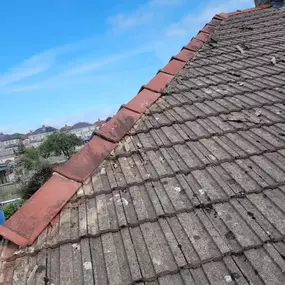 Bild von Roof Revive