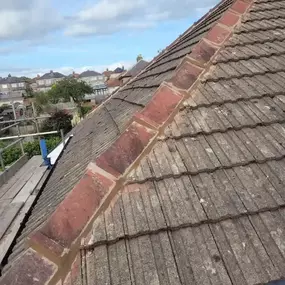 Bild von Roof Revive