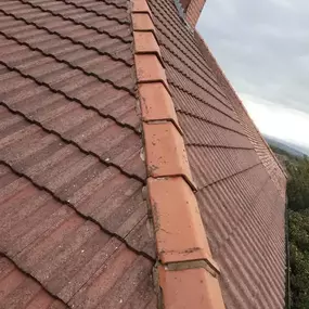 Bild von Roof Revive