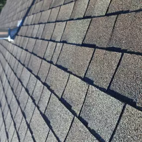 Bild von White Rhino Roofing and Construction