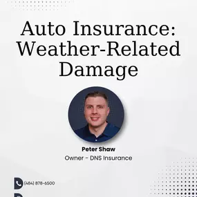 Bild von DNS Insurance Agency
