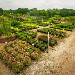 Bild von Superior Garden Center
