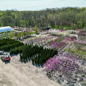 Bild von Superior Garden Center