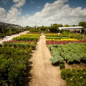 Bild von Superior Garden Center