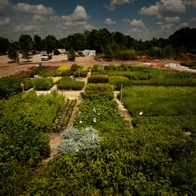 Bild von Superior Garden Center