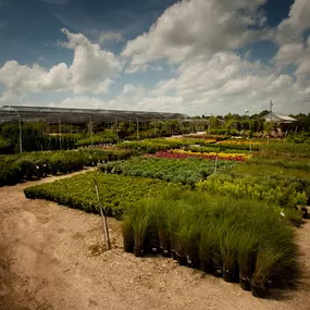 Bild von Superior Garden Center